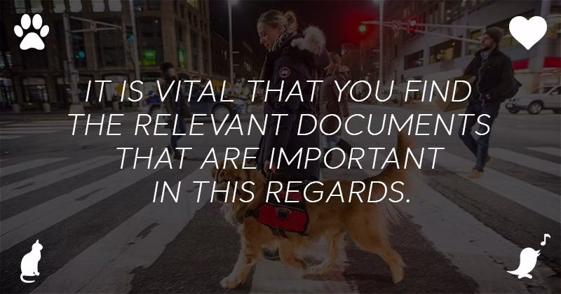 Are Emotional Support Dogs Allowed In Hotels 1