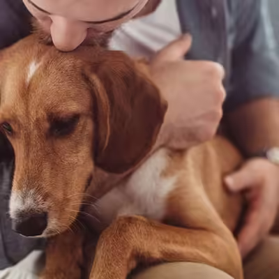 Emotional Support Animal Requirements