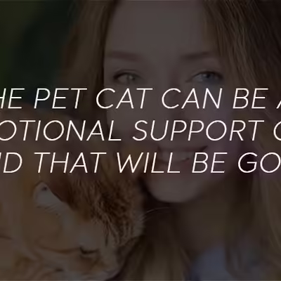 Registration Guide for Emotional Support Cats