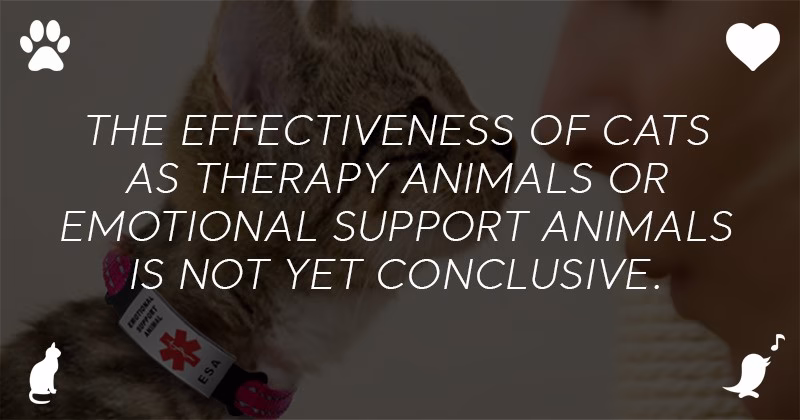 What Researches Have To Say?