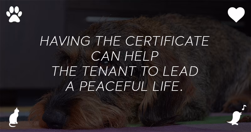 Housing Rights for Emotional Support Animal