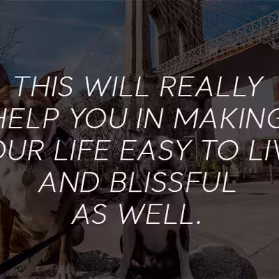 How to Get an Emotional Support Animal in New York