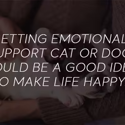 Stay Healthy Mentally with Emotional Support Animals