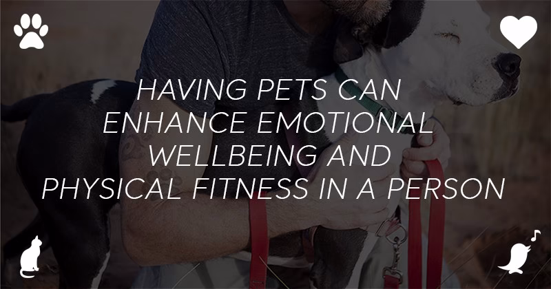 What Are Benefits Of An Emotional Support Animal 1