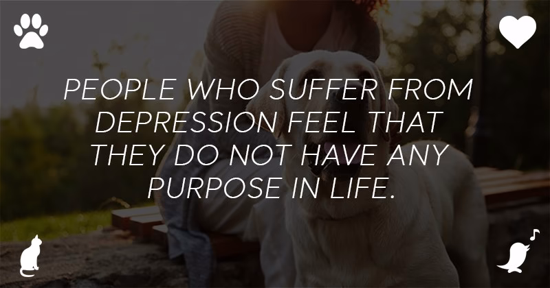 What Are Benefits Of An Emotional Support Animal 2 1