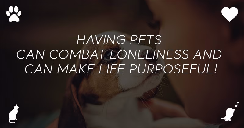 What Are Benefits Of An Emotional Support Animal 4 1