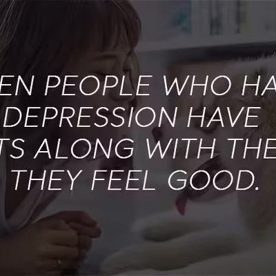 Benefits You Need To Know For Having an Emotional Support Animal