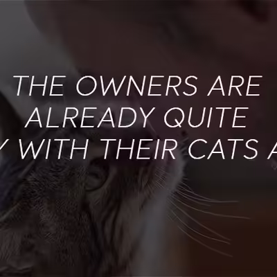 Services That You Can Fetch From Cats as ESA