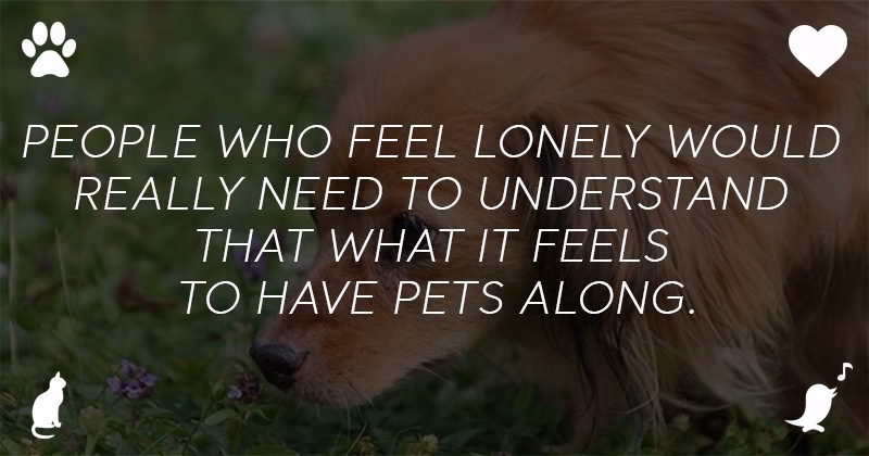 How To Train A Dog To Be An Emotional Support Animal 2