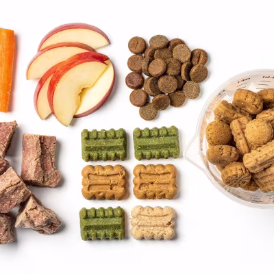 Dog Treats: Healthy Options and How Many to Give