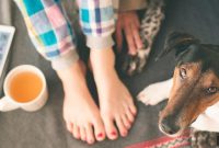 How to Foster a Pet: Practical Tips for First-Time Fosters