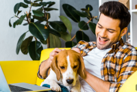 How to Keep Your Dog Quiet While Working from Home