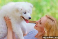 Meet 10 Fluffy Dogs and the Pet Parents Who Love Them
