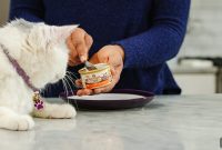 Purr-fectly Lean: Wet Food, Lean Body Mass and Cat Health