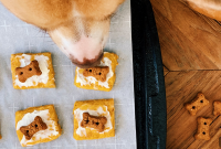 Pumpkin Dog Cookies Recipe for Holiday Treats