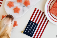 Homemade Watermelon Dog Treats for Summer