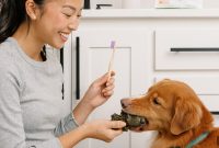 Dog Gum Care: A 3-Step Guide to Prevent Gum Disease
