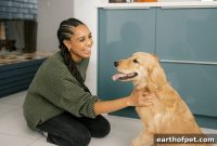 How to Nurture Your Pet’s Emotional Wellbeing