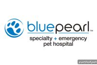 PetPace Multi-Patient View for Veterinary Inpatient Monitoring