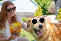 Summer Activities for Dogs to Stay Cool