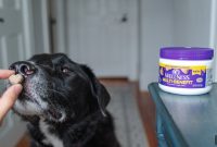 Complete Puppy Supplement for Coat, Joints, and Energy