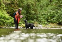 Dog-Friendly Hiking Trails to Explore Together