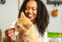 Cat-Proof Your Home: 12 Practical Steps to Protect Cats