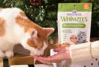 Holiday Stocking Stuffers for Dogs and Cats: Treats and Toys