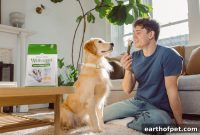How Chewing Boosts Your Pet’s Brain and Dental Health