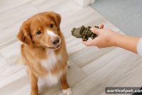 February Pet Dental Health Month: Protect Your Pet’s Smile