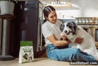 5 Signs Your Senior Dog Needs Softer Dental Chews