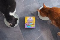 Wet Cat Food Textures: Pate, Chunks, Morsels Explained