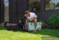 Pet-Friendly Travel Tips for the Fourth of July Weekend