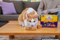 How to Add Wellness Complete Health Grilled to Your Cat’s Diet