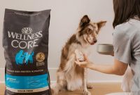 How Probiotics and Prebiotics Boost Your Pet’s Gut Health