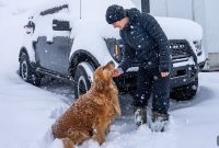 Pet Winter Gear: Coats, Boots and Cold-Weather Essentials