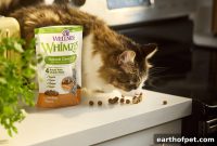 Two-Minute Dental Routine for Lasting Oral Health