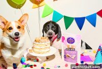 Milk Bar Celebrates Old Mother Hubbard’s 100th Anniversary