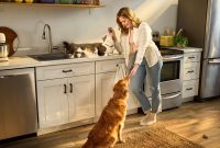 How to Store Pet Food and Treats During Spring Cleaning