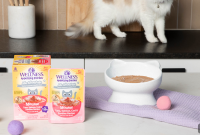Nutrients to Support Your Senior Cat’s Brain and Joints