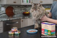High-Protein Wet Cat Food for Weight Control