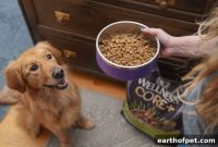 1-Pound Rule: How 1 Pound Affects Your Dog’s Hips and Knees