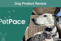 PetPace Dog Collar Review 2023: Expert Verdict
