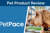 PetPace Smart Collar Review 2024: Expert Verdict