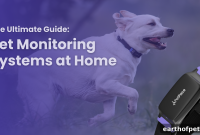 Home Pet Monitoring: Keep Your Pet Safe and Comfortable