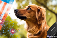Memorial Day Pet Safety: Essential Tips for Celebrations