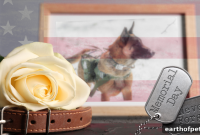 How to Honor a Pet’s Legacy on Memorial Day