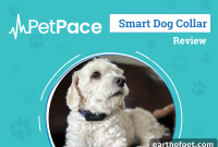 PetPace 2.0 Smart Collar Review 2024 — Expert Analysis