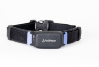 PetPace vs FitBark: Which Smart Collar Fits Your Dog?