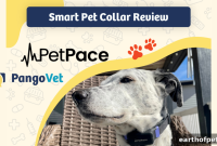 PetPace Dog Collar Review 2024: Expert Verdict and Features